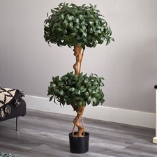 4 Sweet Bay Double Ball Topiary Tree w/1036 L...