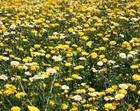 Bild 3 von 9