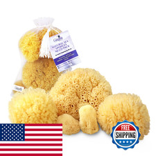 Real Natural Sea Sponges Multipack - 5Pc Spa Gift Set In Premium Bag Kind On