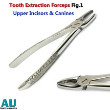 Tooth Extraction Forceps Fig.1 Dental Upper Centrals Canines Incisors