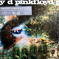 Pink Floyd: A Saucerful Of Secrets (Remastered) (180G) (Mono) - Warner Music -