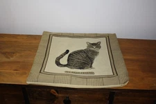 My Best Friend Tabby Cat Brown decorator pillow cover 16" x 16"