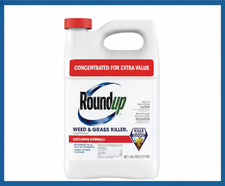 Roundup Weed Grass Killer4 Concentrate, 1 gal.