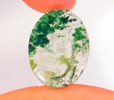 12 Cts Natural Green Moss Agate Oval Cabochon Loose Gemstone 25x19x3 mm CG 0176