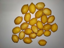 Artificial Lemons Faux Fruit Decor Set Of 24