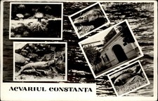 RPPC Aquarium Constanta Romania vintage postcard u596