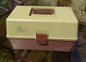 dolphin robot vacuum