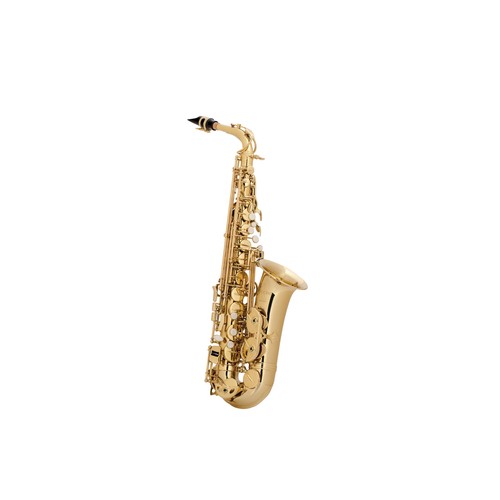 Selmer Aristocrat Student Eb Alto Saxophone Outfit 641064078163 eBay