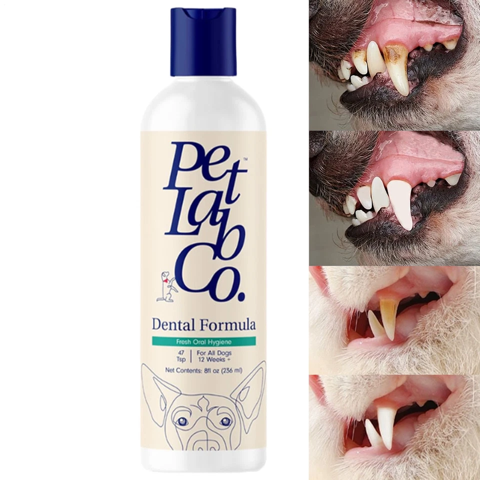 Petlab Pet Lab Co 狗牙科配方水添加剂新鲜呼吸清洁牙齿 8 盎司 — 第 2/4 张图片