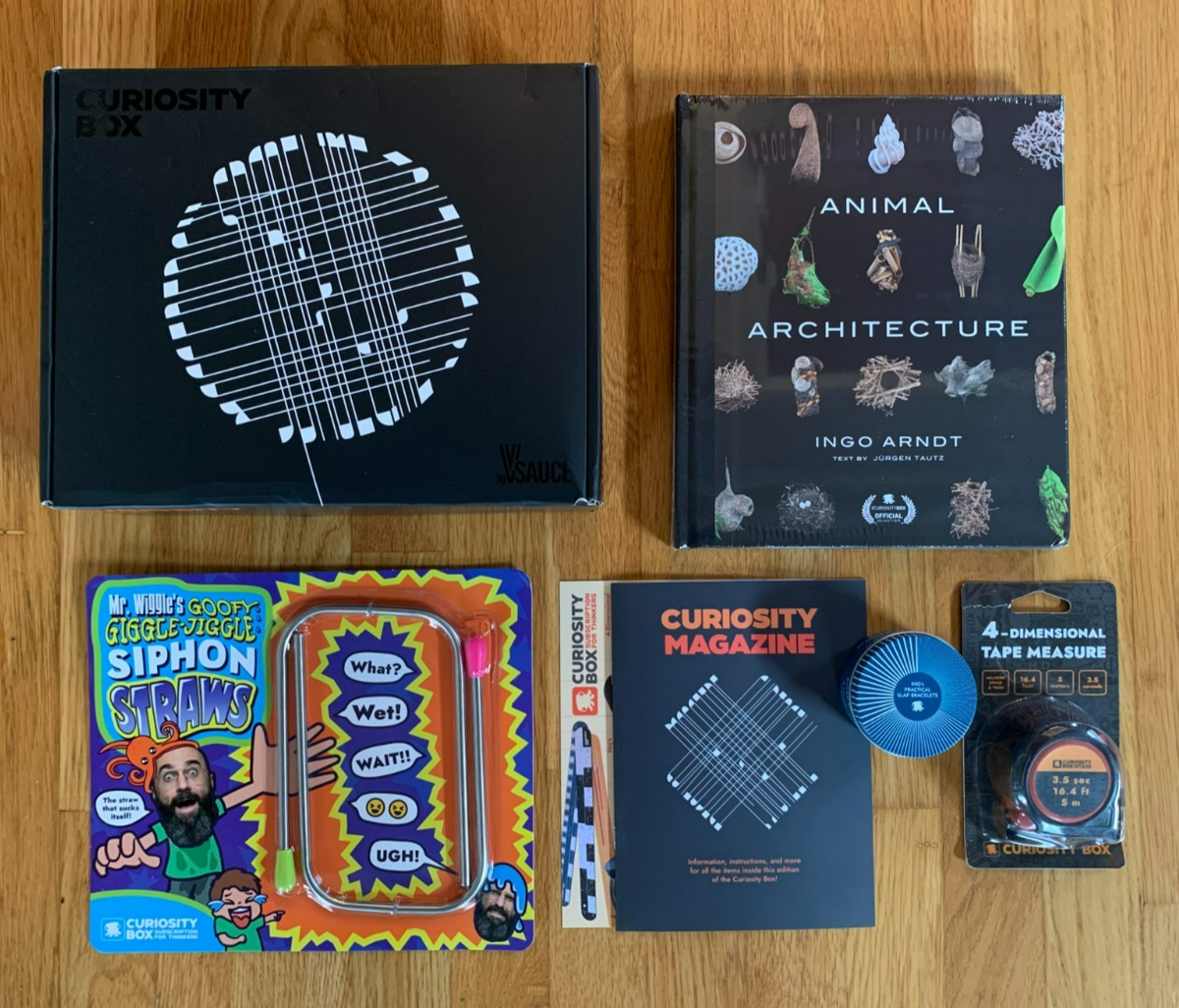 Curiosity Box Tape Measure Bracelets Siphons Animal Architecture