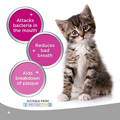 Logic Oral Hygiene Gel for Cats and Dogs, 70 g with Finger 1 Count