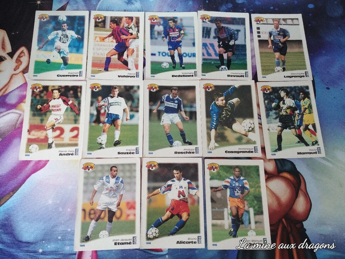 Carte Panini Officielle Eric Cantona France 1996 #R14 – Rare, Autocollant Non Collé