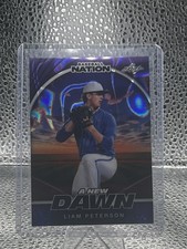 2025 Leaf Baseball Nation Liam Peterson 1/1 Pre-Production Proof A New Dawn