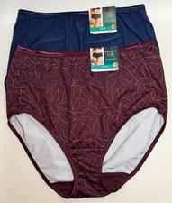 NWT 2 Vanity Fair Illumination 13109 Briefs Panties Paradise/Navy 8/XL