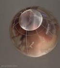 Bild 5 von 5