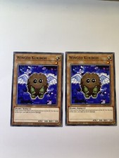 Winged Kuriboh Legendary Duelists: Magical Hero LED6-EN017 Common 2x