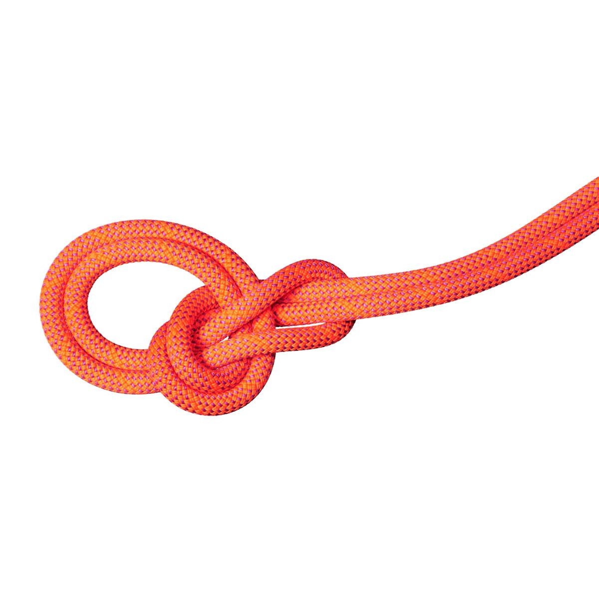 Mammut 9.8mm Crag Dry Climbing Rope