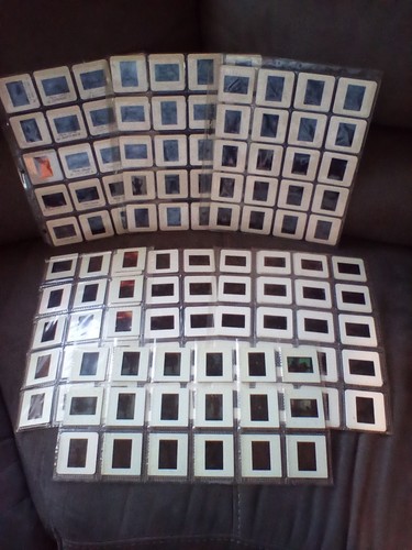 Vintage 80's or 90's Lot Of 150+ College Female Risque Sexy Bikini 35mm ...