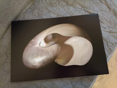 This world renowned photographer has the most sought after prints.Rare. Joanna M