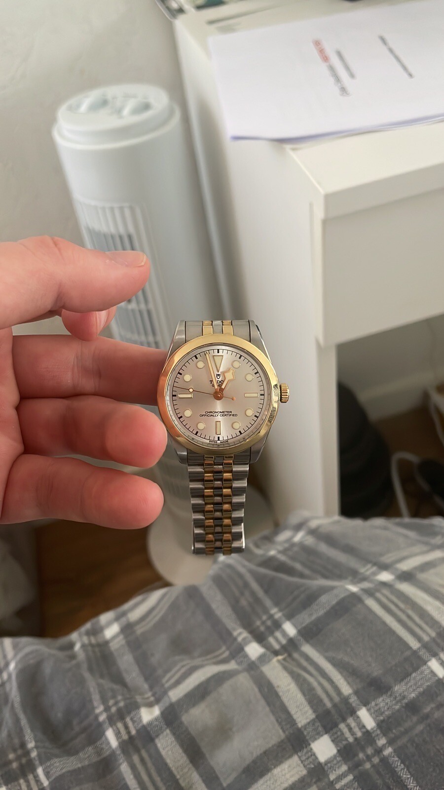 Tudor Black Bay