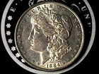 1884-P Morgan Dollar - Nice Date - High (BU) Grade - Beautiful (BU) Luster TT177