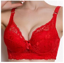 New Women Large Bra Perfect Size Full Lace Embroidery Lingerie Push Up Unwerwear