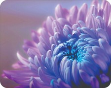 Wild Flowers Floral Art Colorful Art Mousepad 7 x 9 Art mouse pad