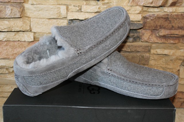 ugg ascot gray