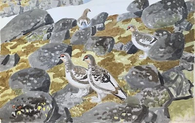 Aquarell 1958 Karl Adser 1912-1995 Landschaft mit Vögeln in Norwegen - Bild 1 von 4
