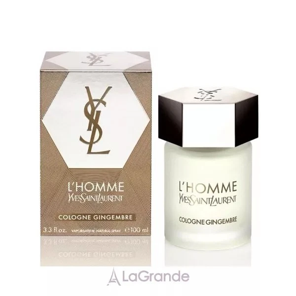 L'HOMME GINGEMBRE YVES SAINT LAURENT RARO YSL 100ML MASCULINO NOVO LACRADO DESCONTINUADO - Imagem 3 de 3