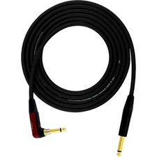 Pro Co Evolution Studio/Stage Silent Straight - Angle Instrument Cable 10 ft.