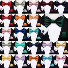 Paisley Floral Satriped Mens Bow Tie Pretied/Selftied Bowtie Set Wedding Event