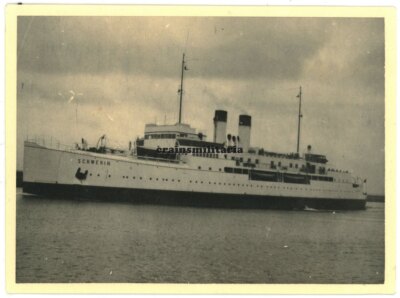 Orig. Foto Fähre Schiff m. Kennung SCHWERIN Gedser Dänemark Warnemünde Boot