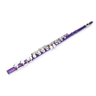 Cupronickel C 16 Closed Holes Concert Band Flute Purple