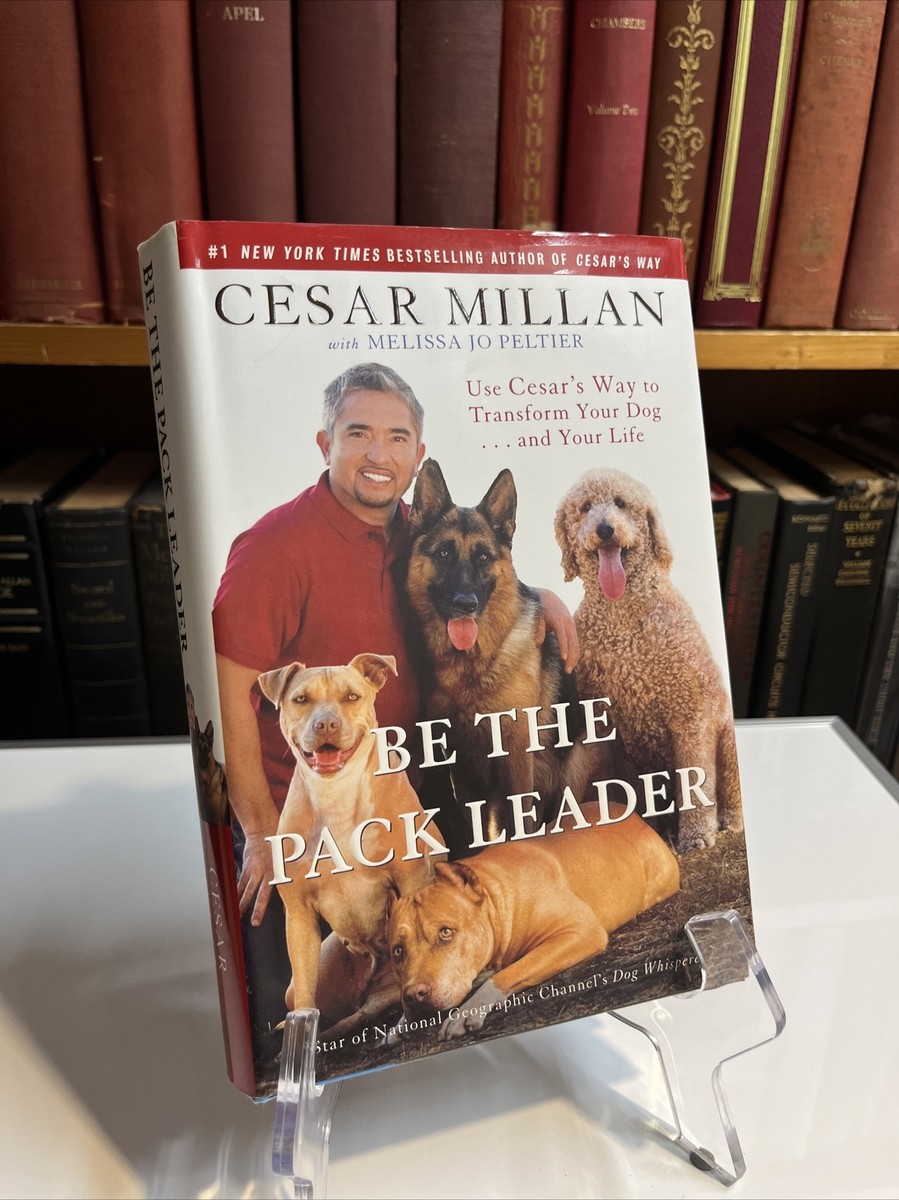 Be the Pack Leader Use Cesar's Way to Transform Your and Your 