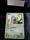 Pokemon Card Treecko 137/PCG-P Japanese 232