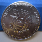 2013 US $1 American Eagle 1 oz Silver Dollar Coin Walking Liberty round — photo 4