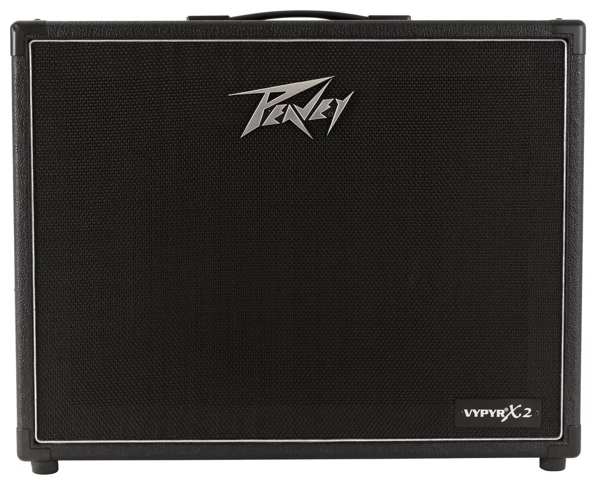 Ebay peavey sales amps