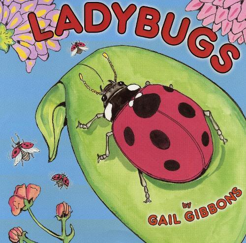 Gail Gibbons Ladybugs (Tascabile)