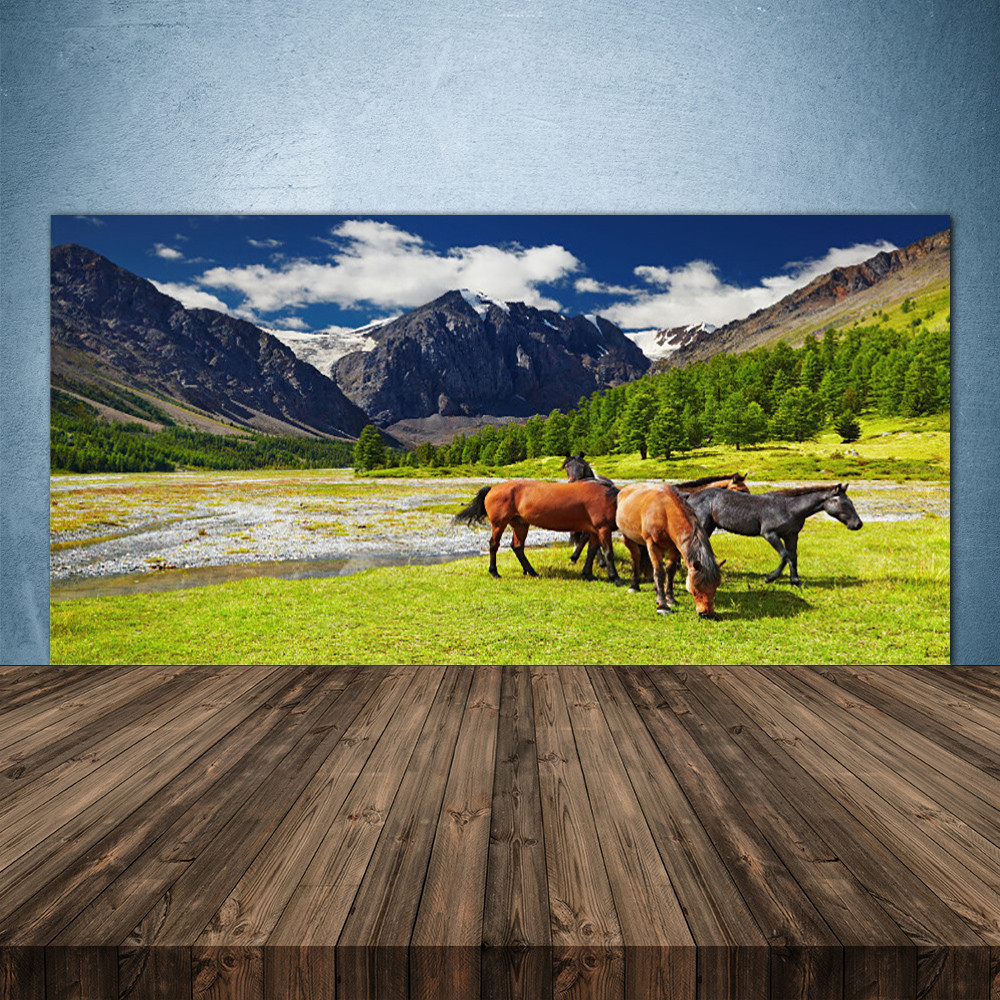 Crédence de cuisine en verre 140x70 cm panorama de montagnes et cheval sauvage
