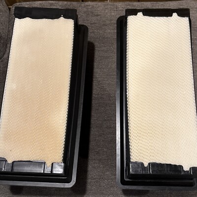 2x P621725 Engine Air Filter for PETERBILT 567 579 Trucks KENWORTH T680/880