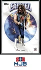 2025 Topps Exalted WWE Dude Love #89