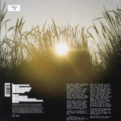 オリジナル盤　 Patrol　Final Straw　レコード　LP VINYL Snow Patrol - Final Straw 602567954217| eBay