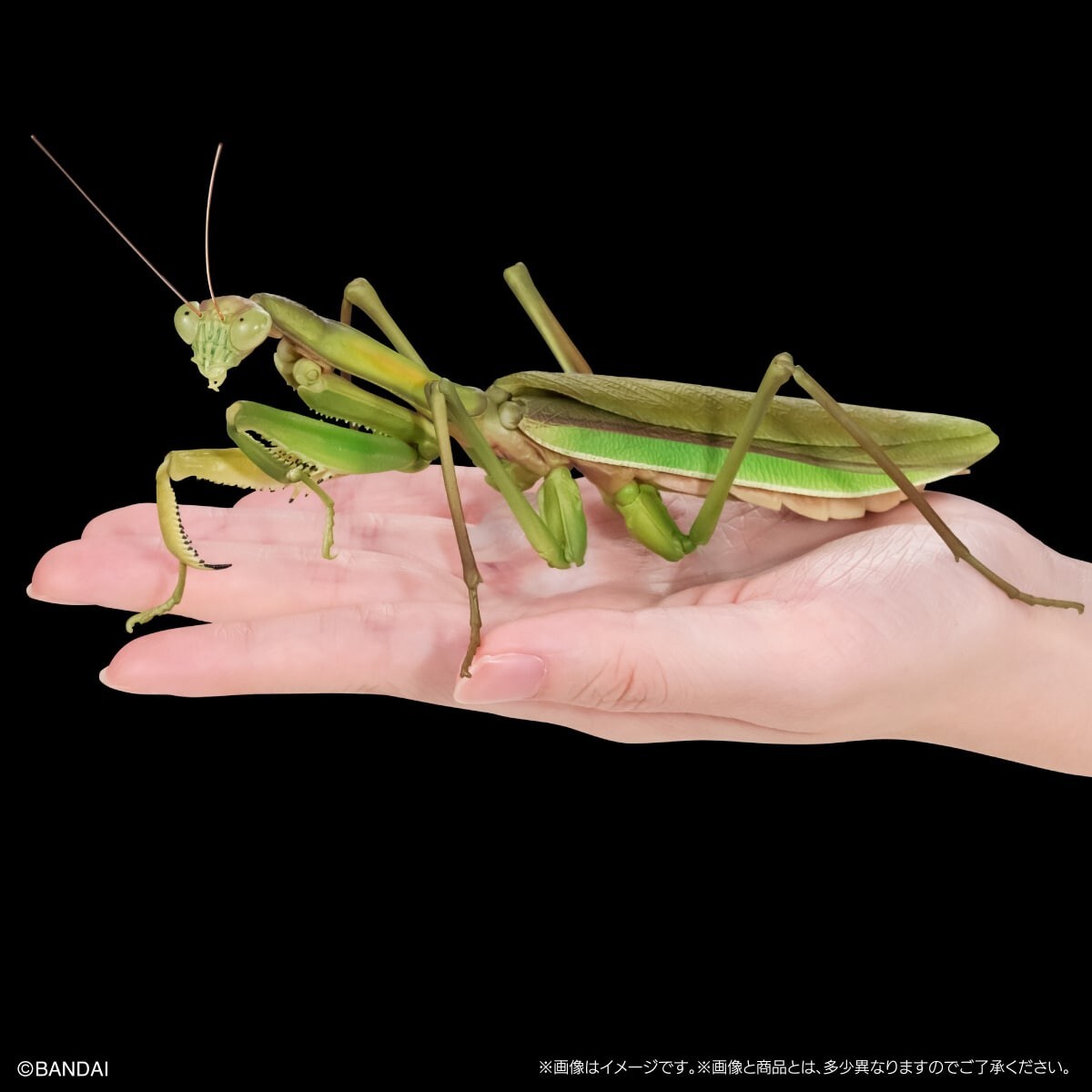 AVISO アビソ PRAYING MANTIS 5'6 ゴールドレーベル Japan Exclusive Praying Green Mantis Insect Figure | eBay