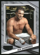 2025 Panini Combat Anthology Silver Multi-Sport Cards - Complete Your Set 