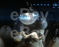 Alien (1979) John Hurt 10x8 Photo