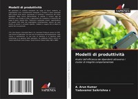 A. Arun Kumar (U. A.) | Modelli Di Produttività | Taschenbuch | Italienisch