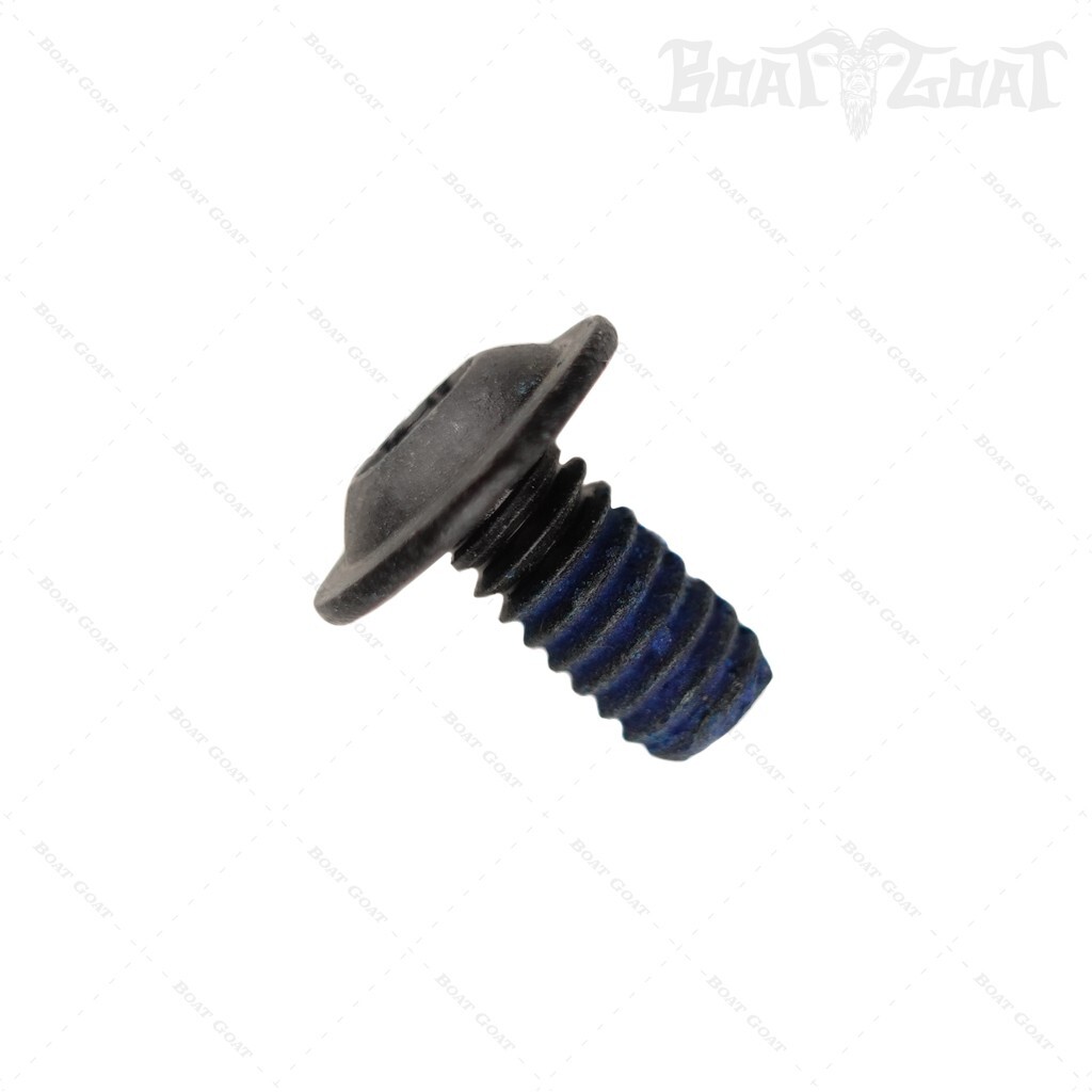 Minn Kota Flanged Button Head Screw - Raptor / Ultrex Quest - 1/4