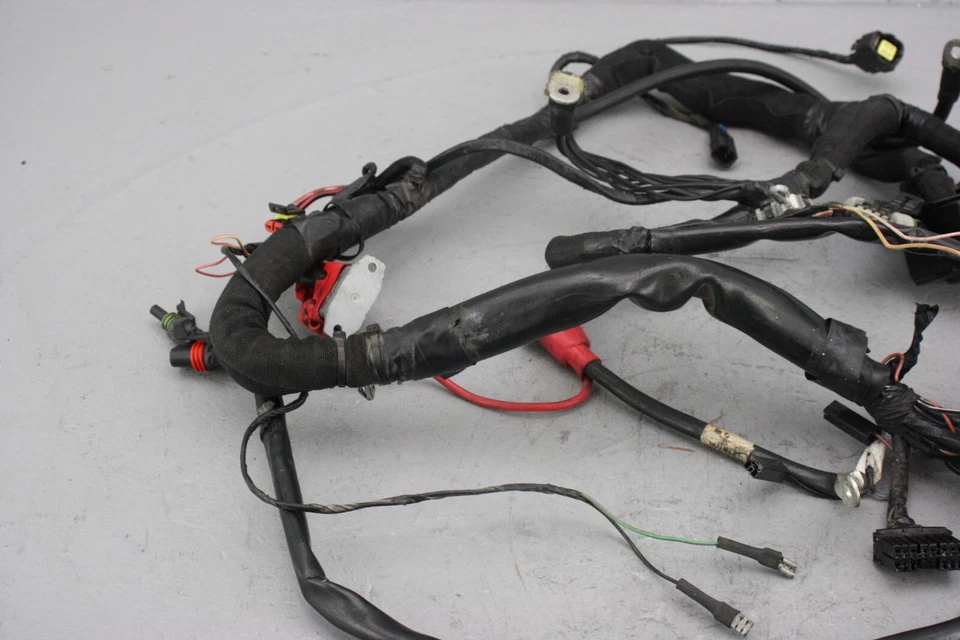 Arnés de cableado principal Victory Judge 2013 - 2411867 Foto 4 de 4