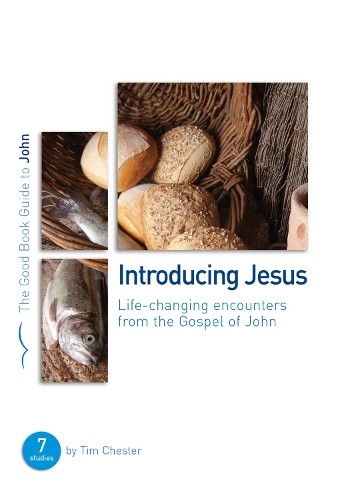 Introducing Jesus: Life Changing Encounters from the Gospel of J - Image 2